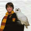 Harry Potter017.jpg (61926 octets)