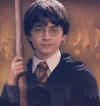 Harry Potter018.jpg (32544 octets)