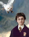 Harry Potter009.jpg (21714 octets)